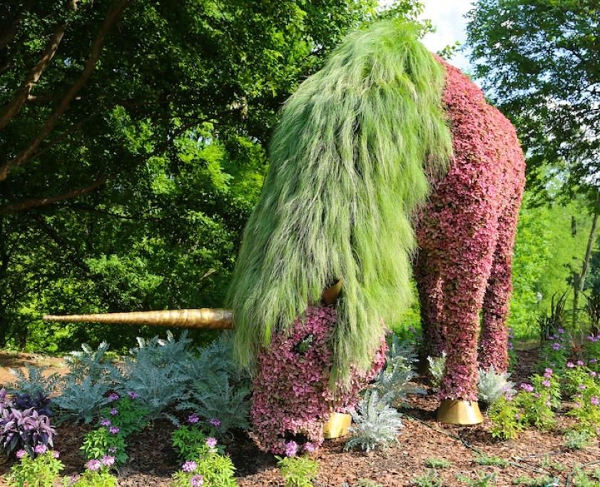 atlantabotanicalgardens141jpg--atlantabotanicalgardens14