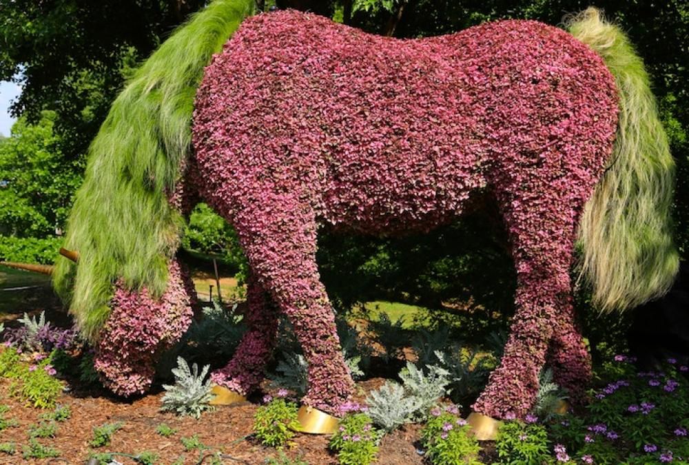 atlantabotanicalgardens151jpg--atlantabotanicalgardens15
