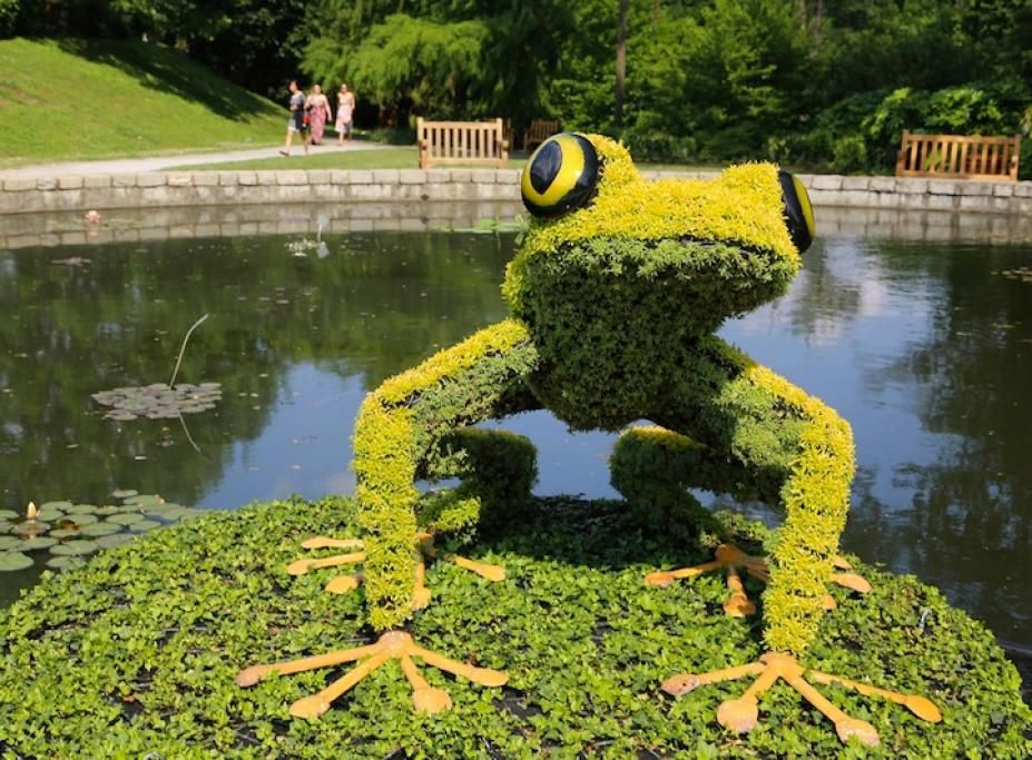 atlantabotanicalgardens111jpg--atlantabotanicalgardens11