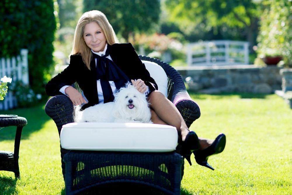 barbra1jpg--barbra1