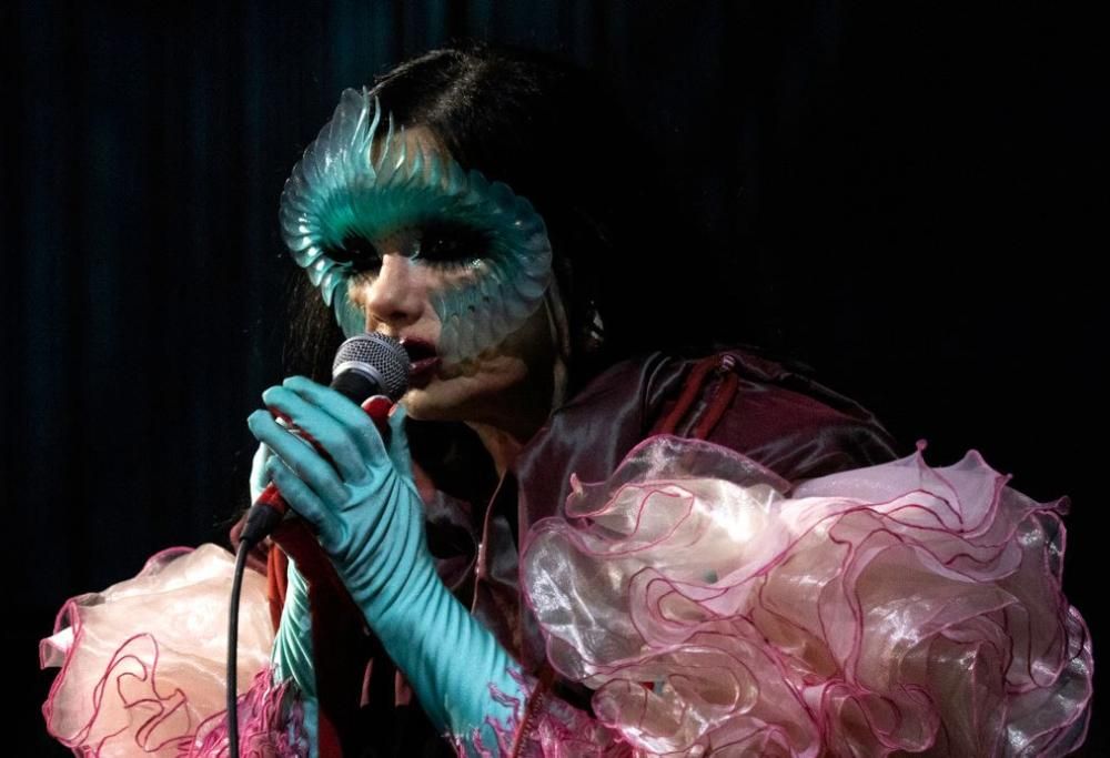 Björk al lavoro su nuovi progetti