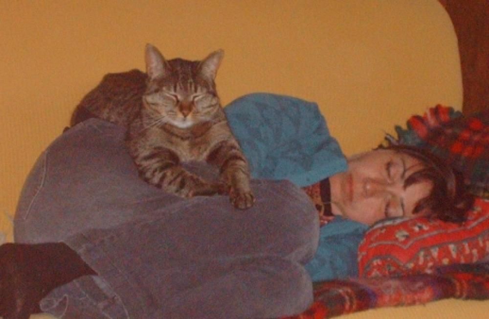 corso_sci_luse_2007_020jpg--gatto