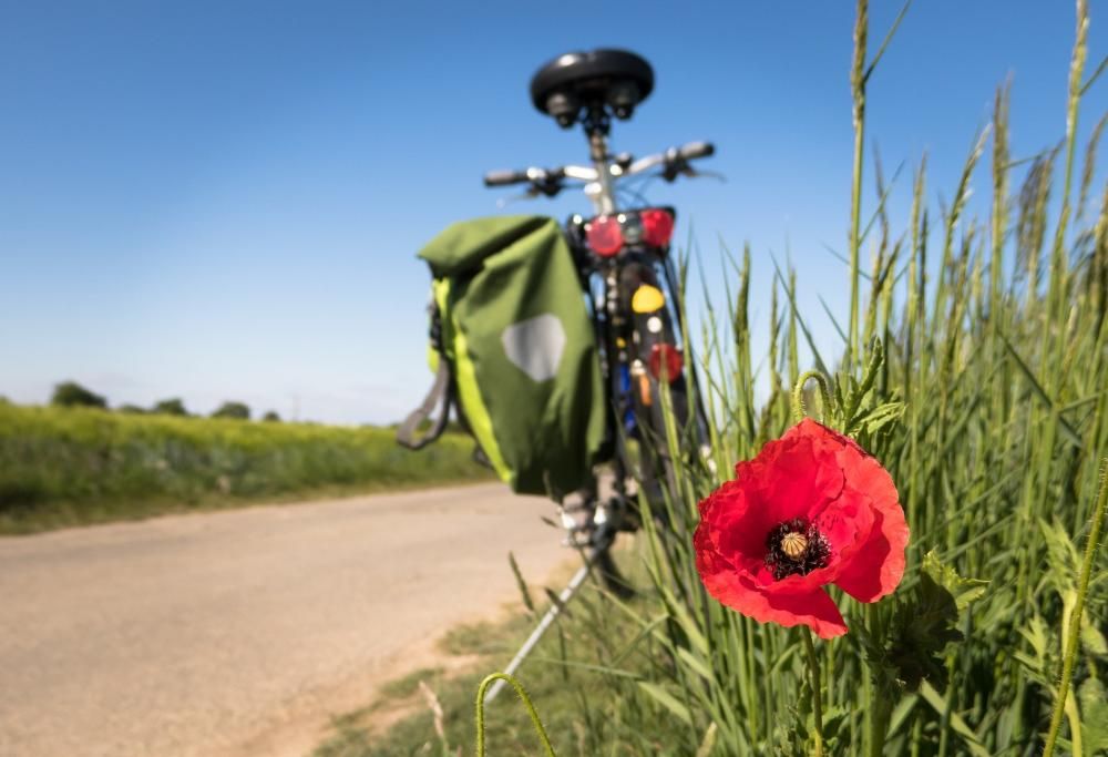 Tutta la bellezza di Genova in bicicletta