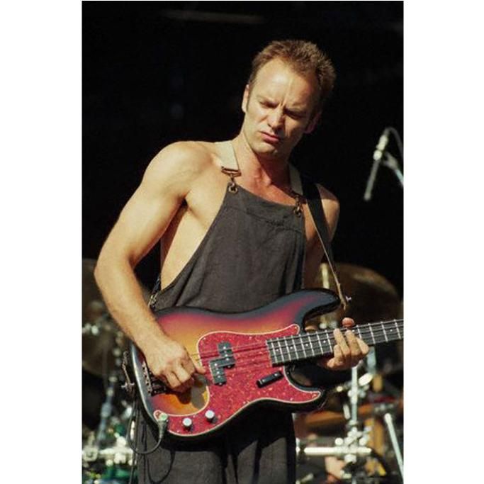 gallery-STING-10jpg--sting