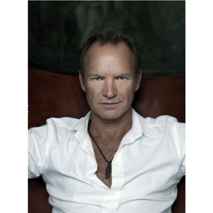 gallery-STING-13jpg--sting