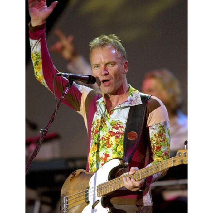 gallery-STING-1jpg--sting