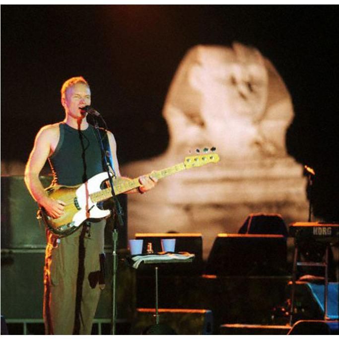 gallery-STING-6jpg--sting