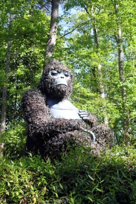 gorilla_61591jpg--gorilla_6159
