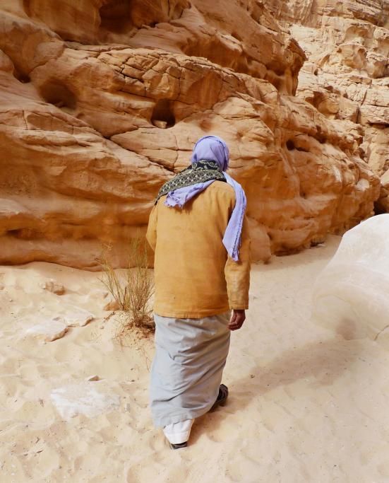 iStock-157483934_Oasi_di_Dakhla-1713877072036jpg--oasi_di_dakhla