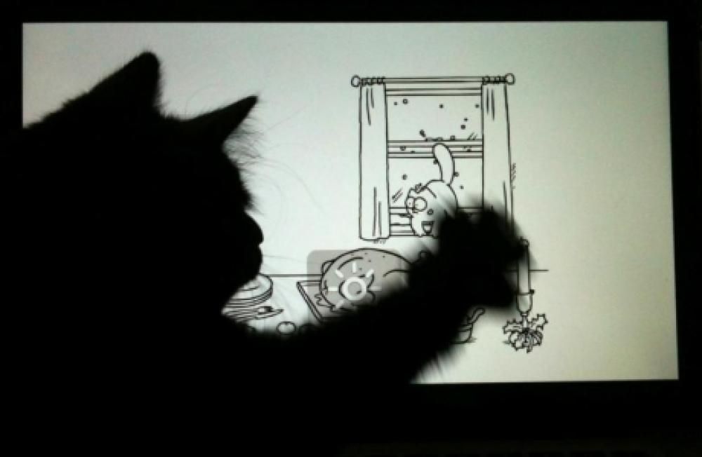 image-3jpg--gatto