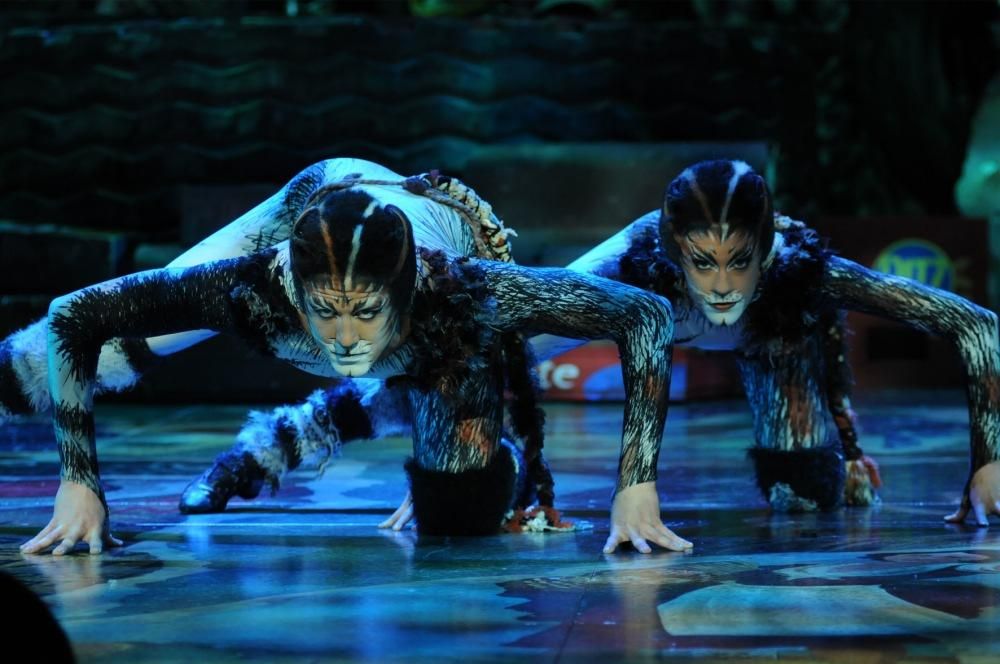 jfjjpg--cats___musical