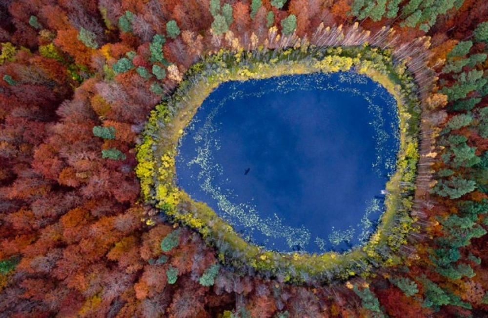 lake-in-pomeraniajpg--lake_in_pomerania