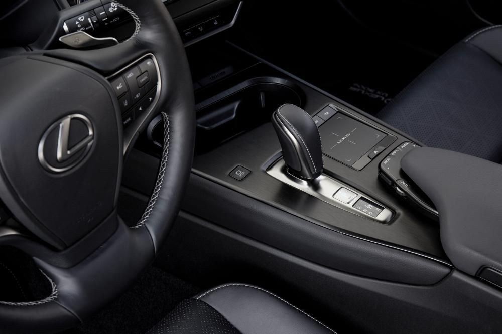 lexusux300e046-1598637833158jpg--