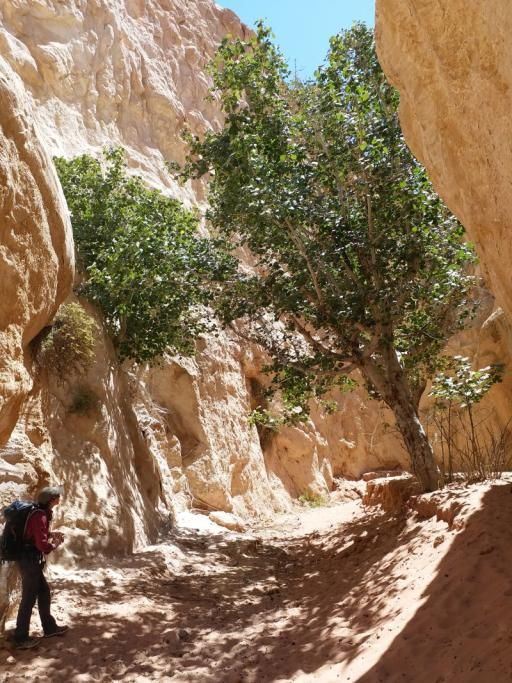 nelle_wadi-1569918319547jpg--