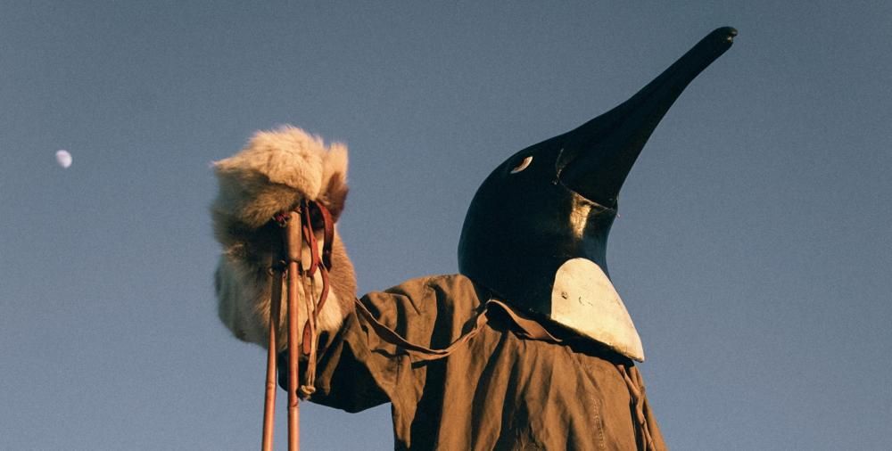 penguin-1569225315322jpg--