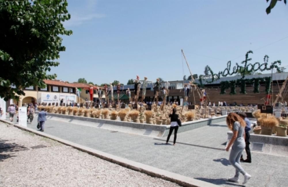 pitti_10jpg--pitti_82