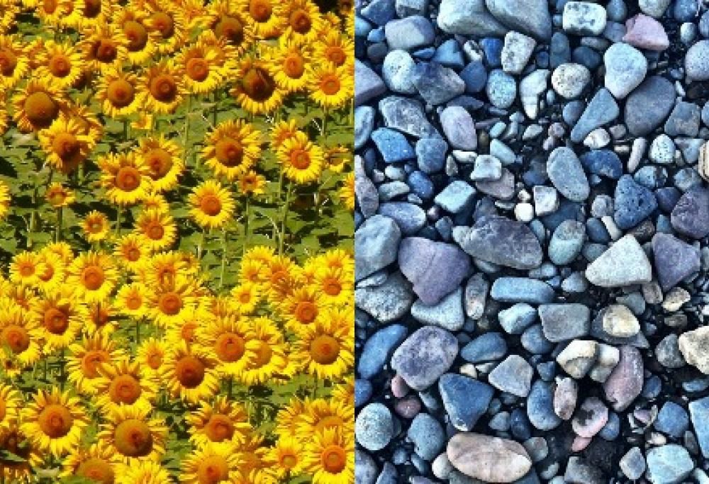 2021: i colori dell’anno esprimono luce e speranza
