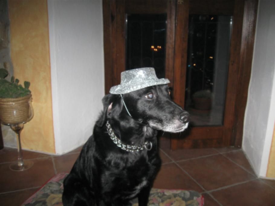 roccojpg--rocco