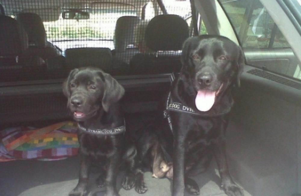 sally_e_beckyjpg--sally_e_becky