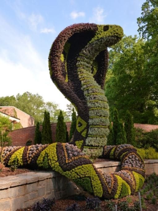 snake1jpg--snake