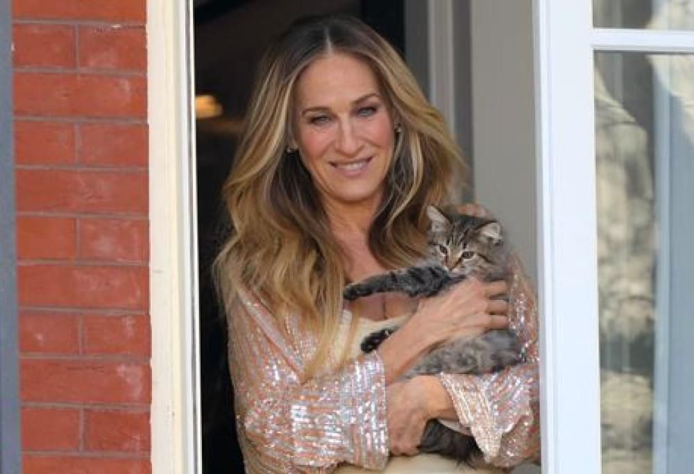 Sarah Jessica Parker adotta il gattino di And Just Like That