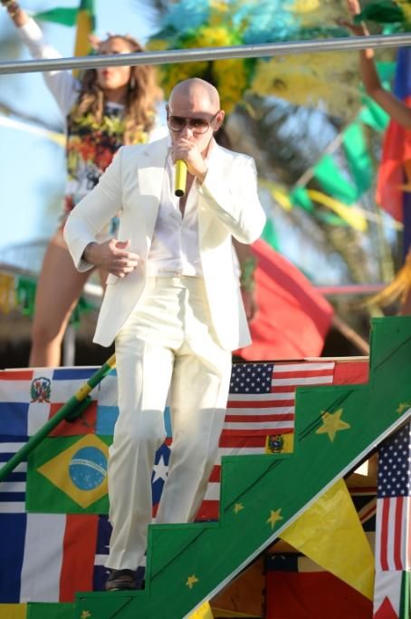 spl698565_035jpg--pitbull