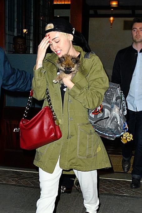 spl733713_001jpg--miley_cyrus_checks_out_of_her_nyc_hotel_holding_her_cute_little_pooch_moonie