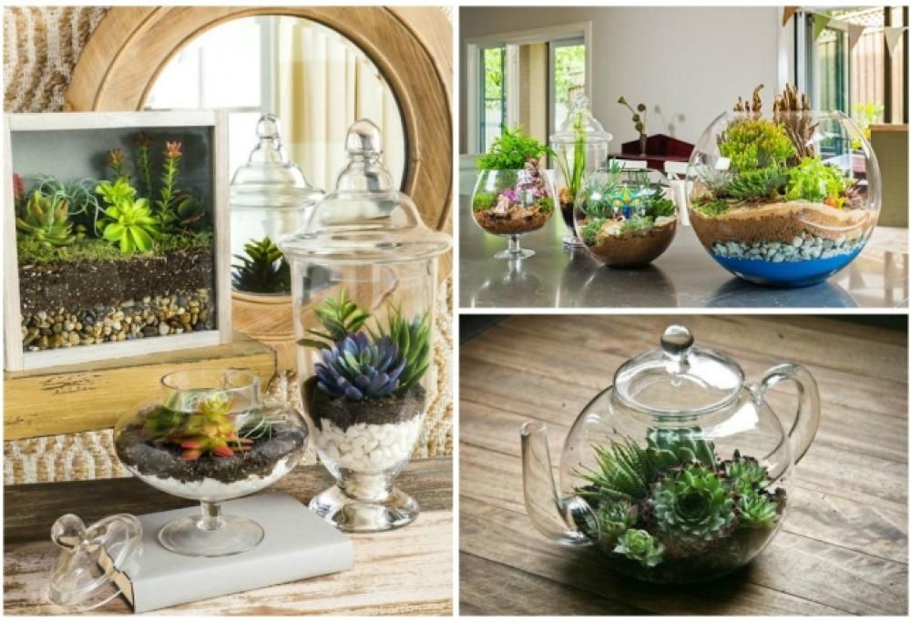 I meravigliosi giardini in miniatura che puoi fare con le tue mani