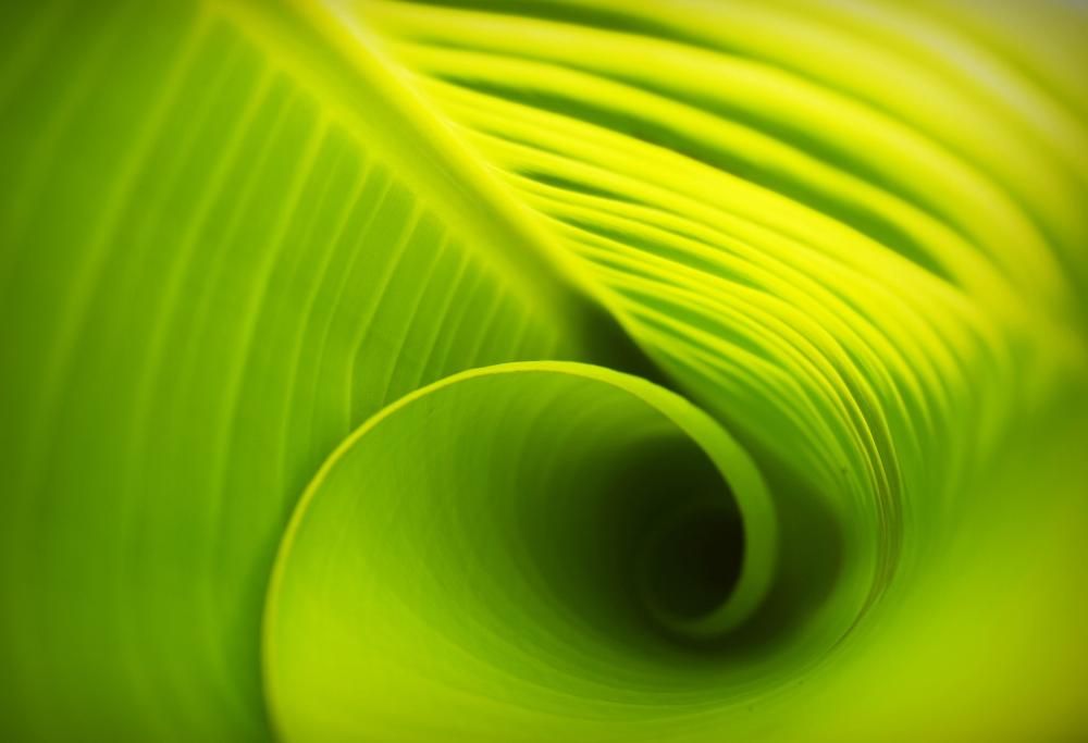 Aria fresca senza il condizionatore: arriva la fabbrica dell’aria!