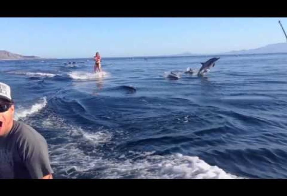 Guardate con chi sta facendo wakeboard questa ragazza…