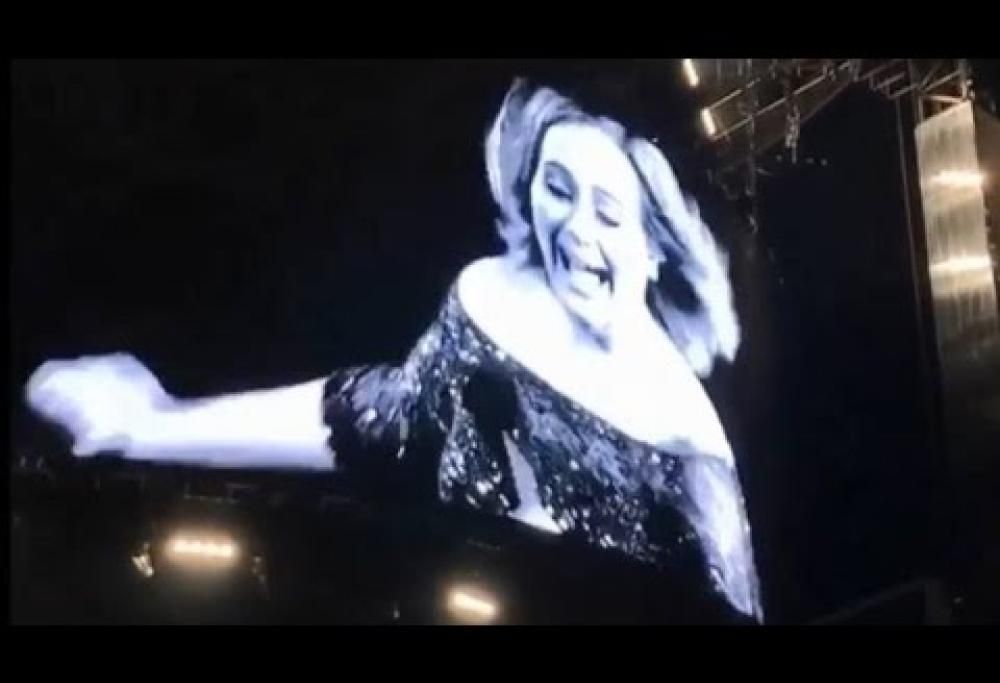 Adele terrorizzata da una zanzara sul palco