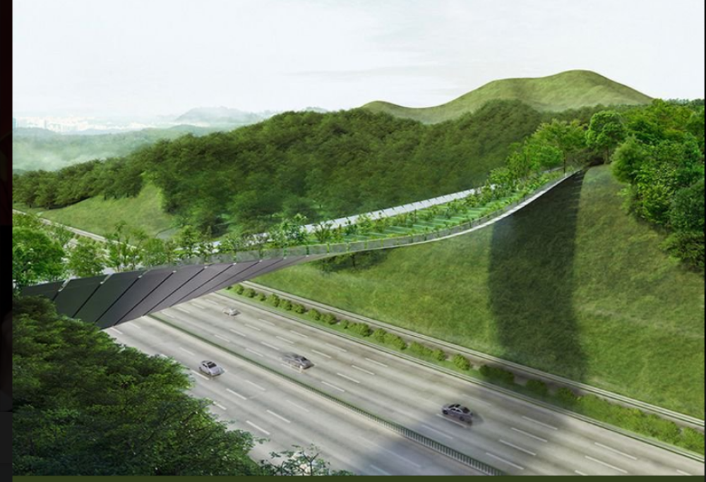 Vi togliamo il fiato con questo incredibile ponte sospeso. Tutto ecologico!