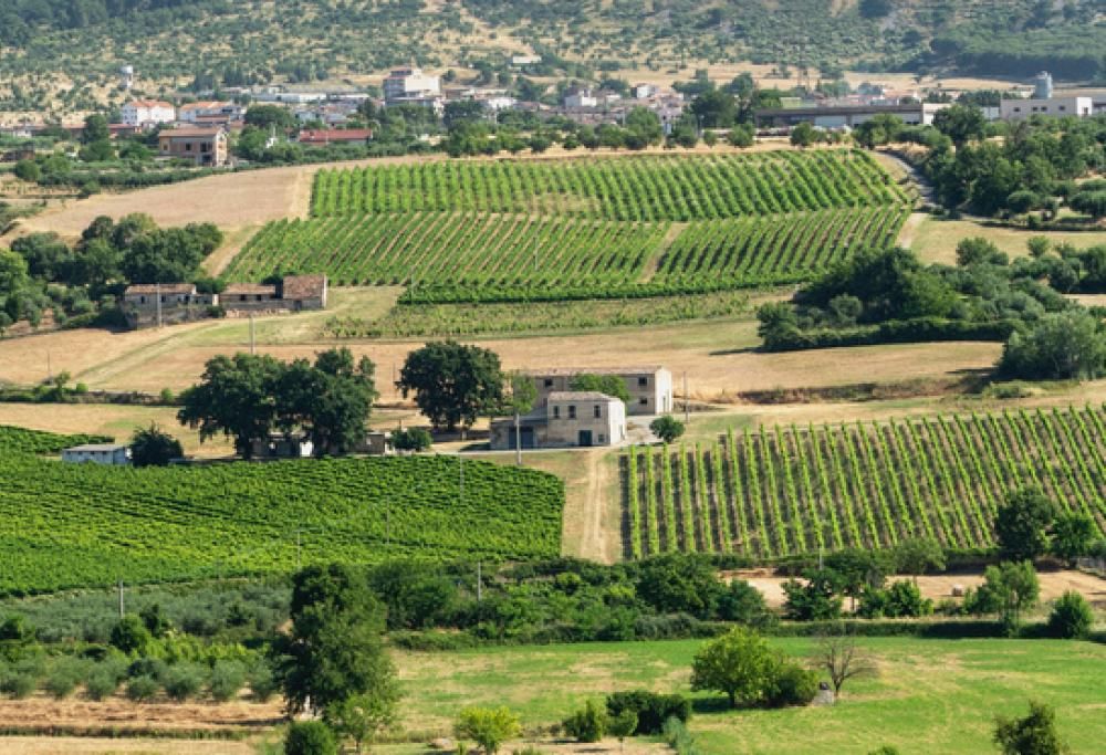 Le meraviglie del Giardino dei Sonagli in Calabria, tra natura e musica
