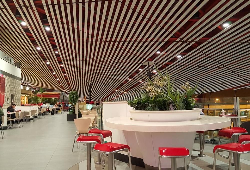 Mangia gratis più di 300 volte grazie al biglietto di prima classe dell’aereo