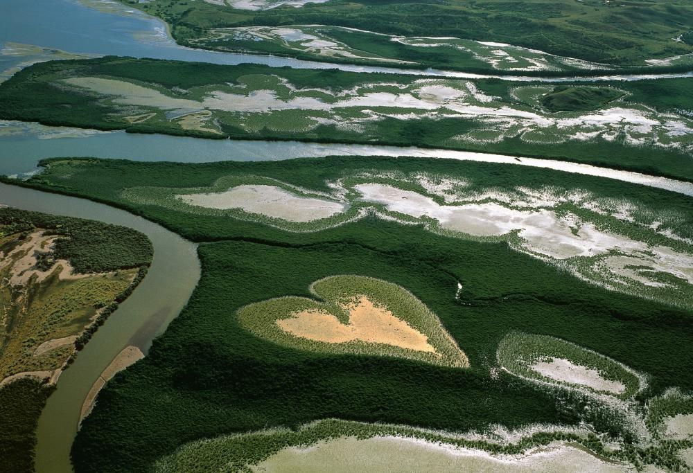 Pianeta Mare – Yann Arthus-Bertrand / Brian Skerry