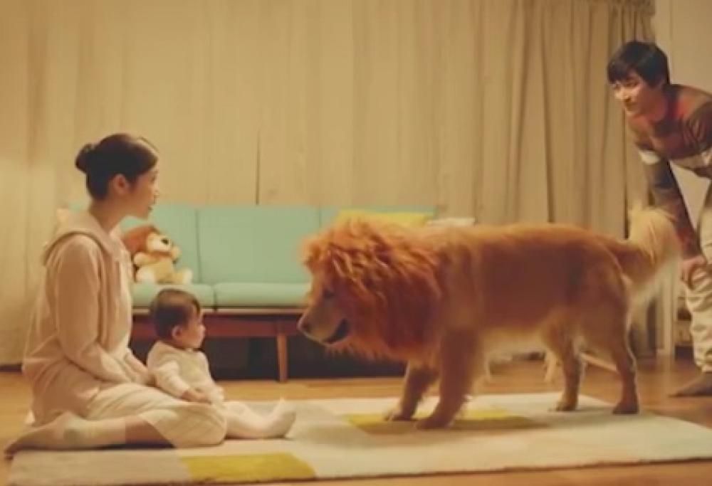 Il Golden Retriever e le lacrime della bambina