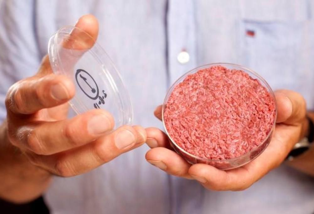 Sarà la carne sintetica il futuro della nostra alimentazione?