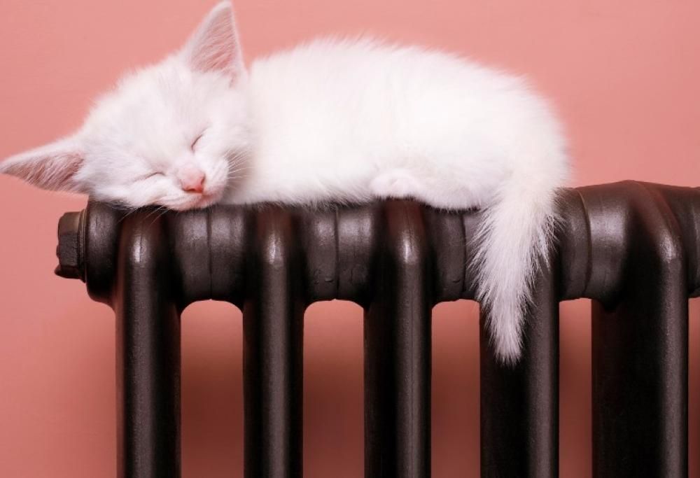 Risparmiare sul riscaldamento si può. Ecco 10 consigli