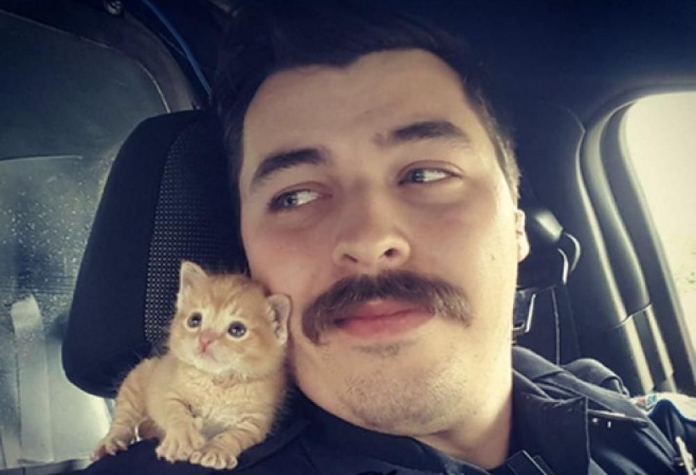 Il poliziotto buono che salva la micia dalla strada