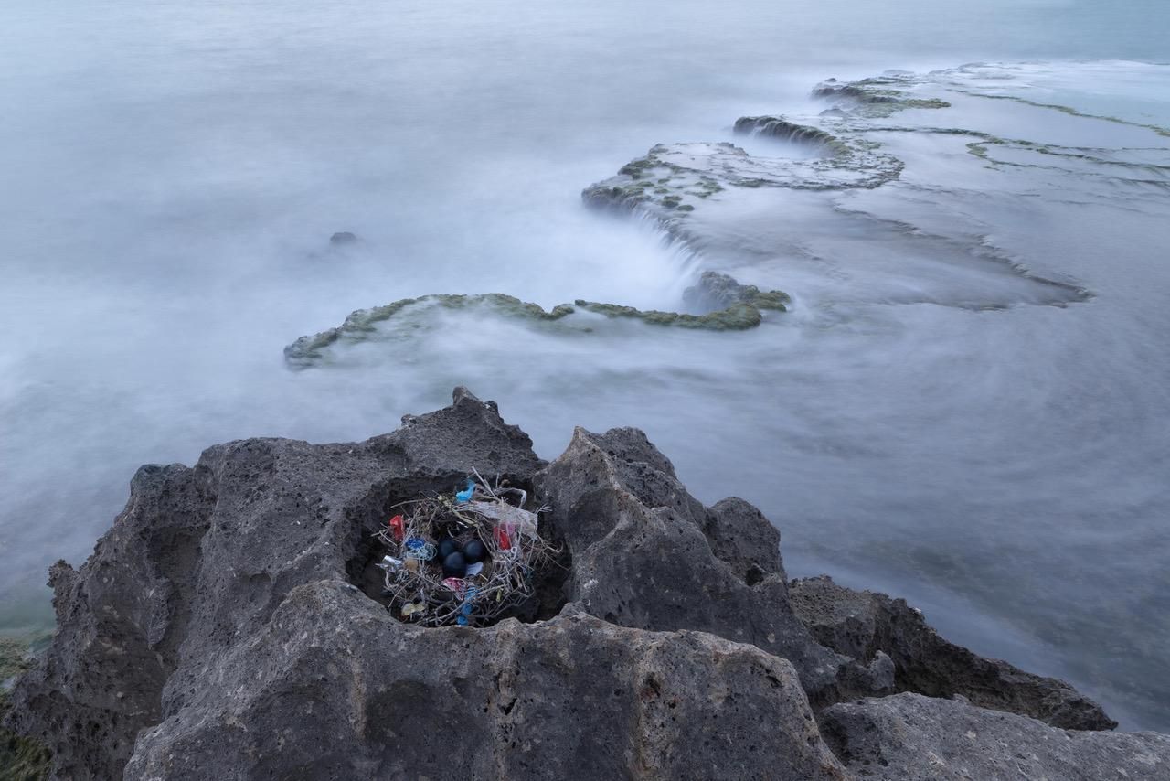 Uomo – Fauna Selvatica : destini incrociati, territori condivisi