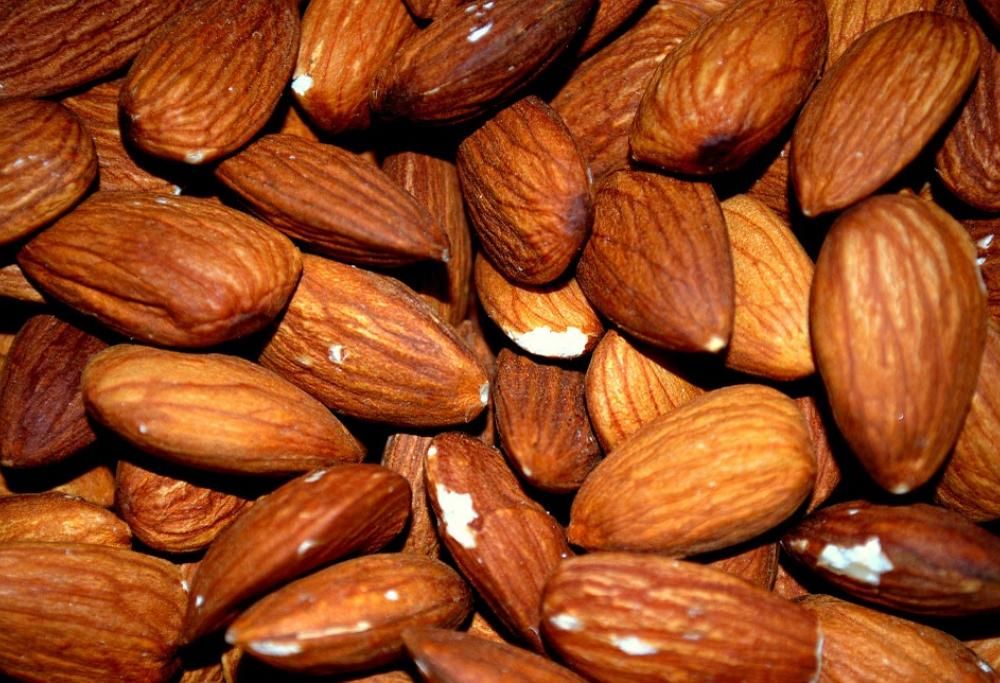 I 10 cibi migliori per fabbisogno nutrizionale