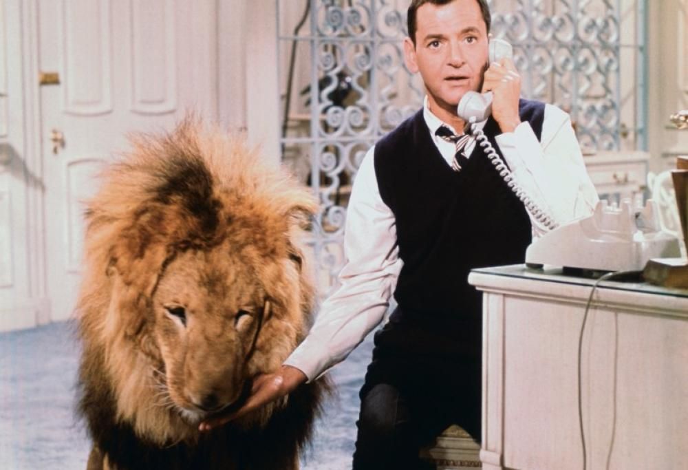 Emirati Arabi. Stop ai leoni come animali da compagnia, diventano fuori legge