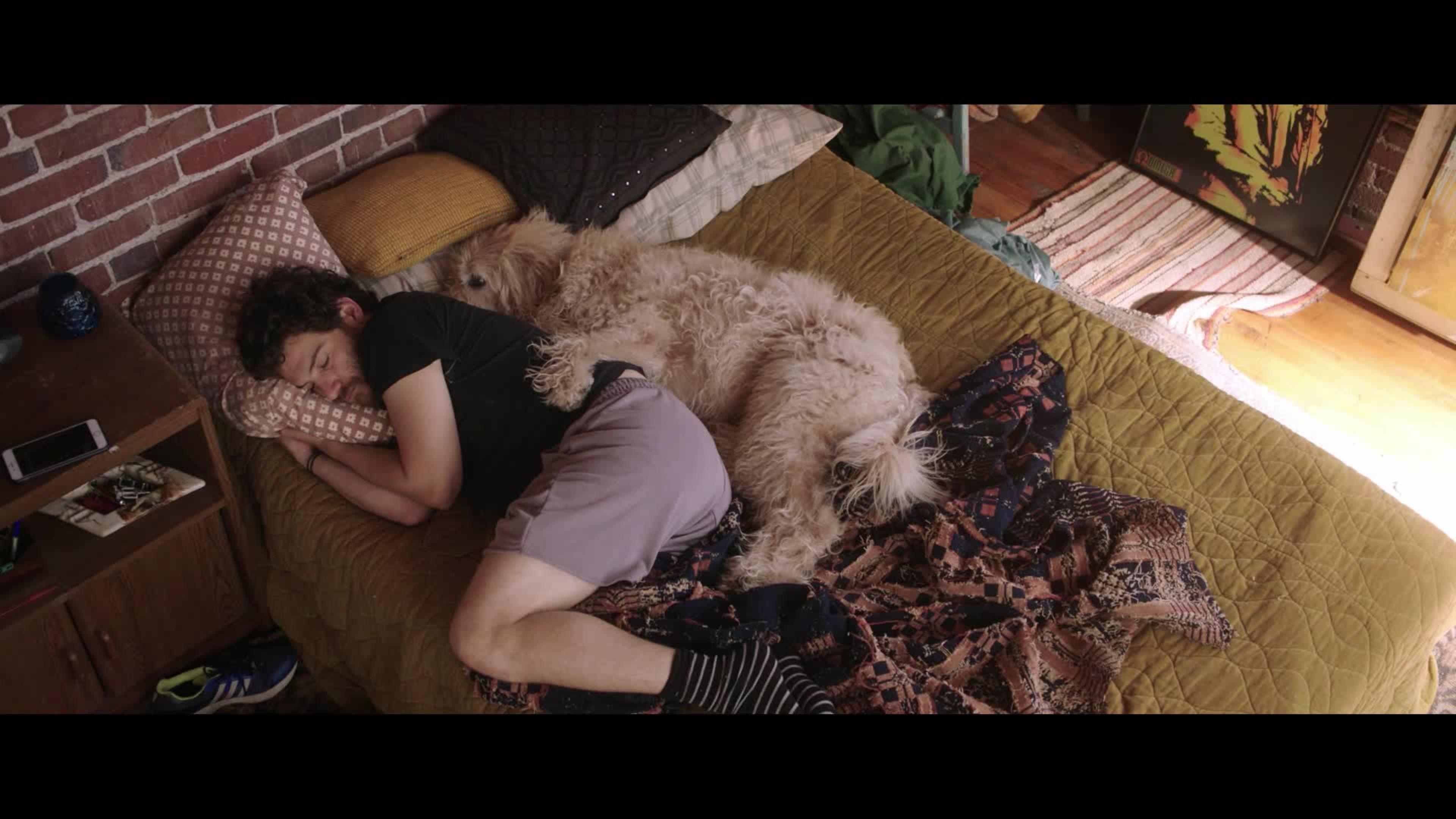 Dog Days: ecco la commedia che unisce romanticismo e… amore per gli animali