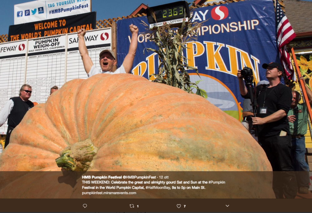 Tempo di Halloween? Ecco la zucca più gigantesca d’America