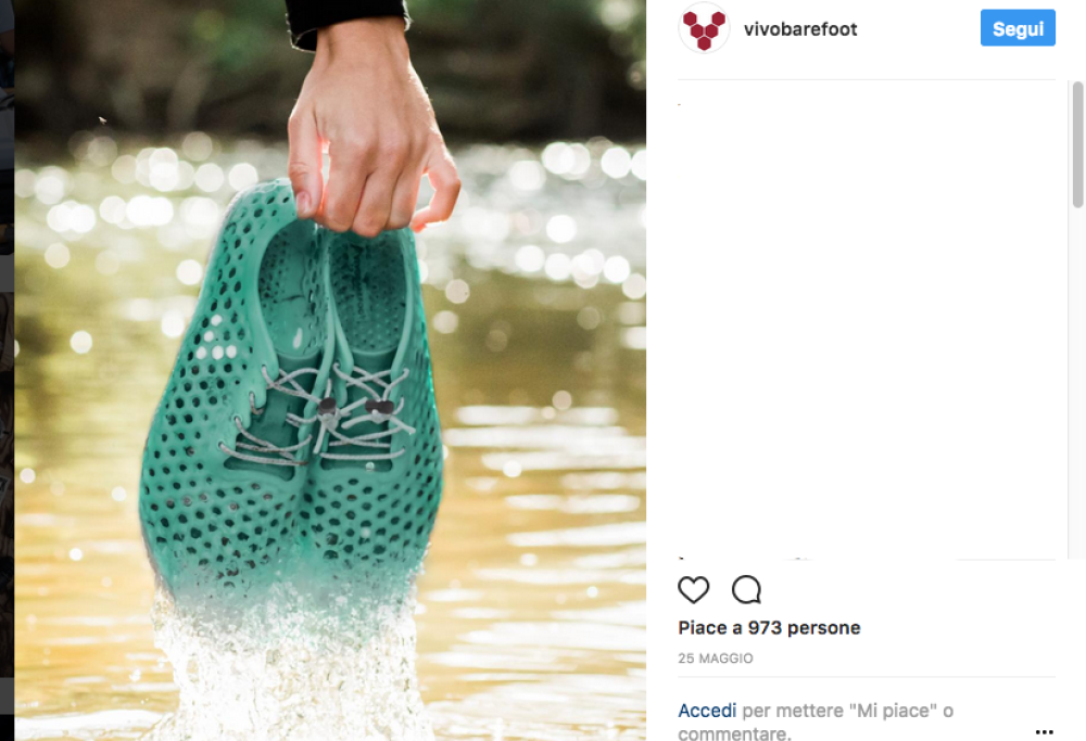 Arriva la prima scarpa fatta di alghe. Che aiuterà a ripulire i mari e i bacini acquiferi