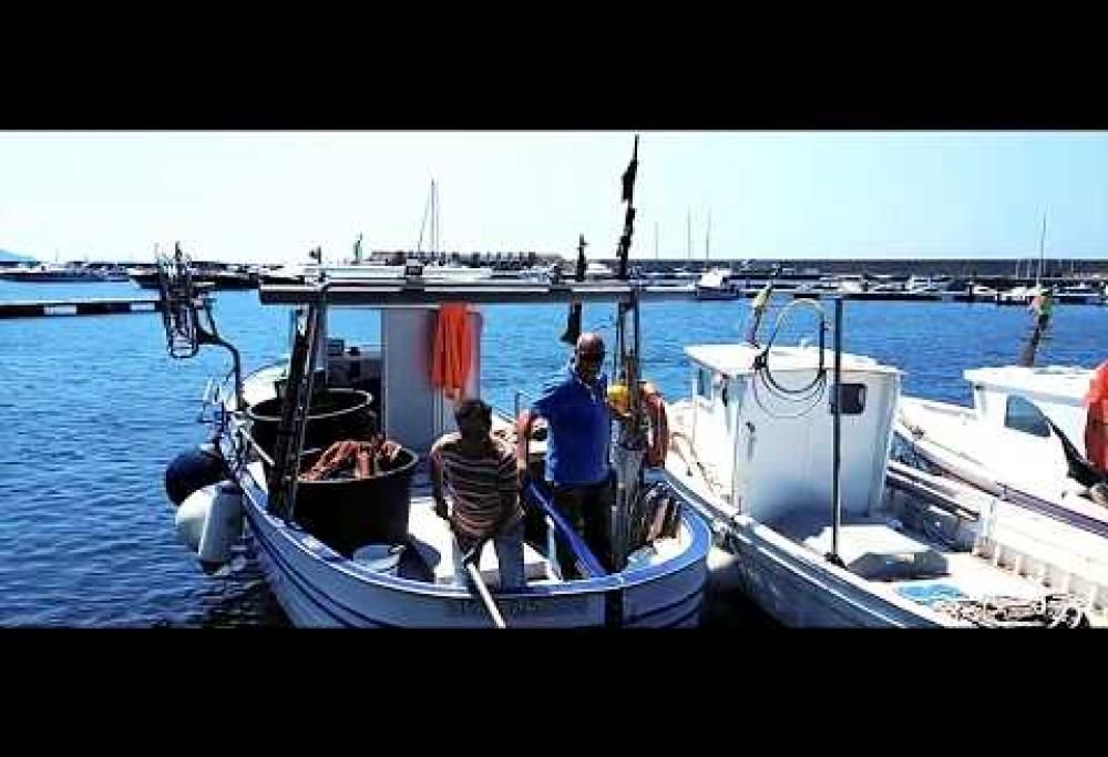 Tutta le bellezza del Cilento: il video!