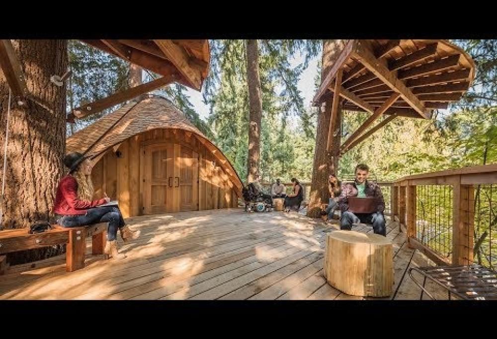 L’ufficio? Adesso è sull’albero!