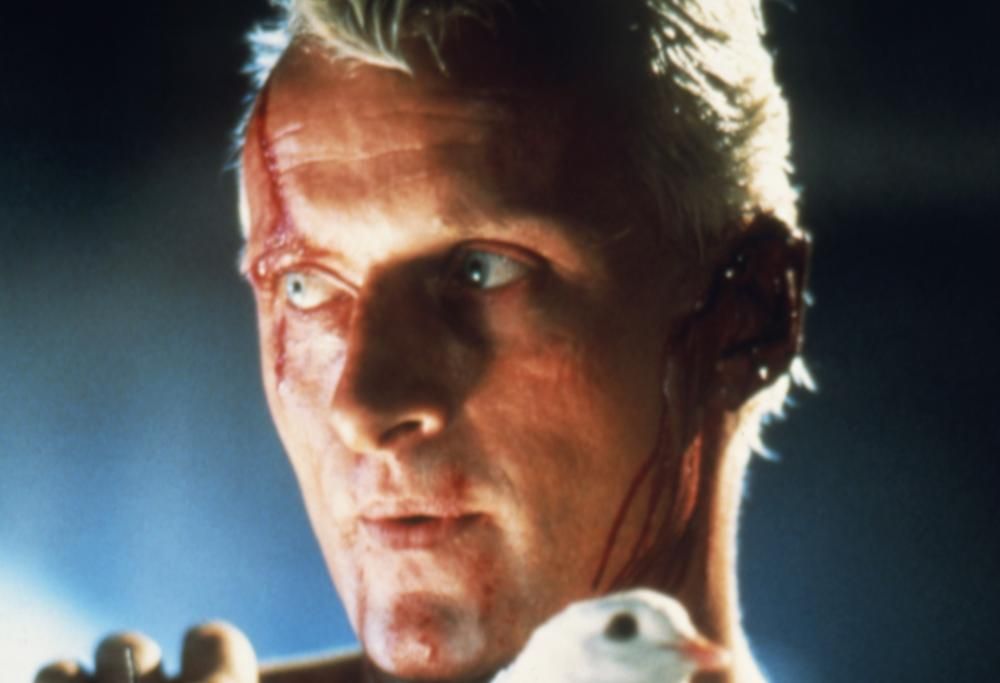 Addio Rutger Hauer: le star dello spettacolo lo ricordano così