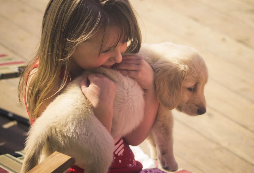 I cani odiano essere abbracciati