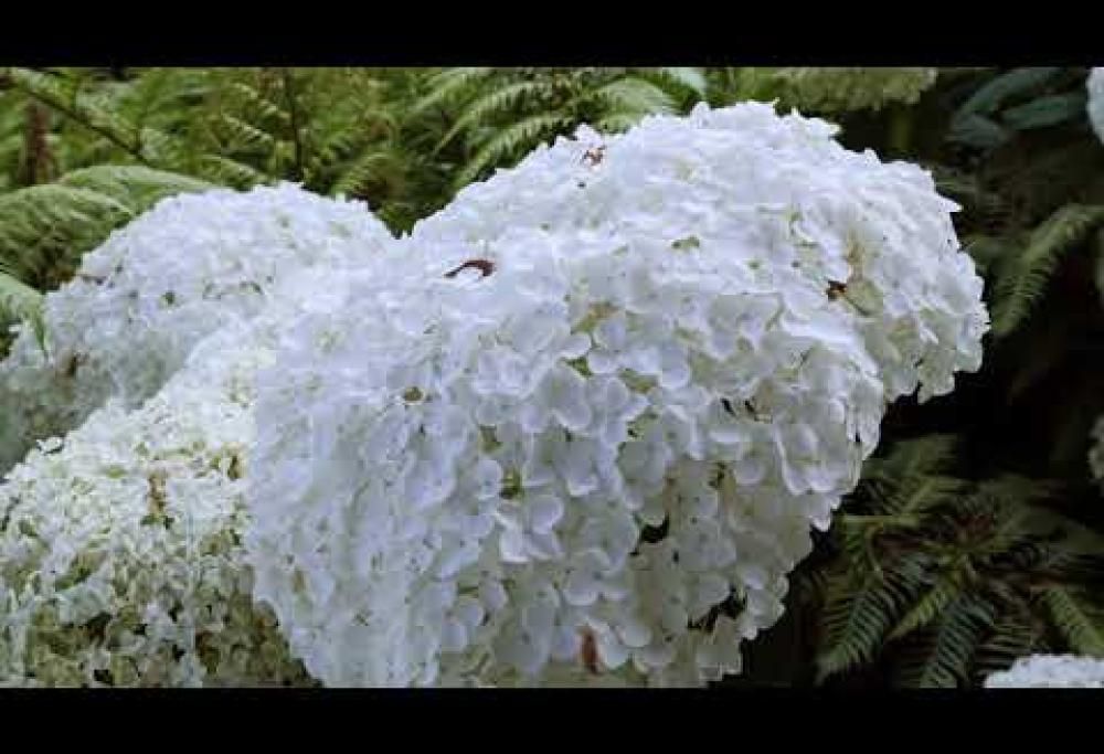 I parchi più belli d’Italia: ecco quali sono